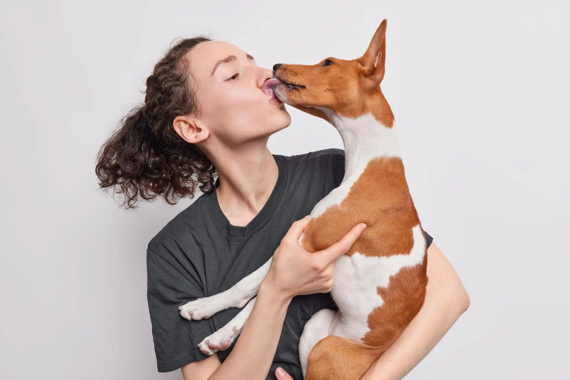 Pros and Cons of Allowing Pets in Your Sarasota, FL Rental Property